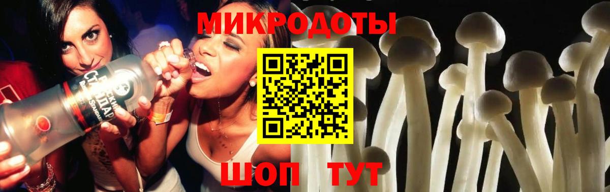 Псилоцибиновые грибы MAGIC MUSHROOMS  Вход с VPN  Красногорск 